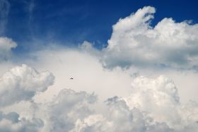 DSC_3391fc2_1x1se.jpg